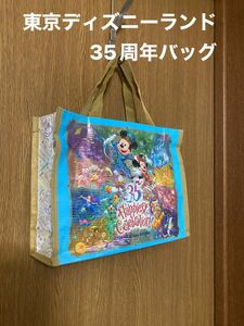 東京ディズニーランド　35周年 ビニールバッグ トートバッグ