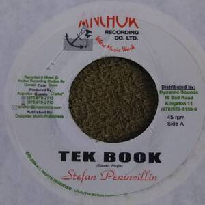 Nice Tune! Tek Book Stefan Penincillin from Anchor