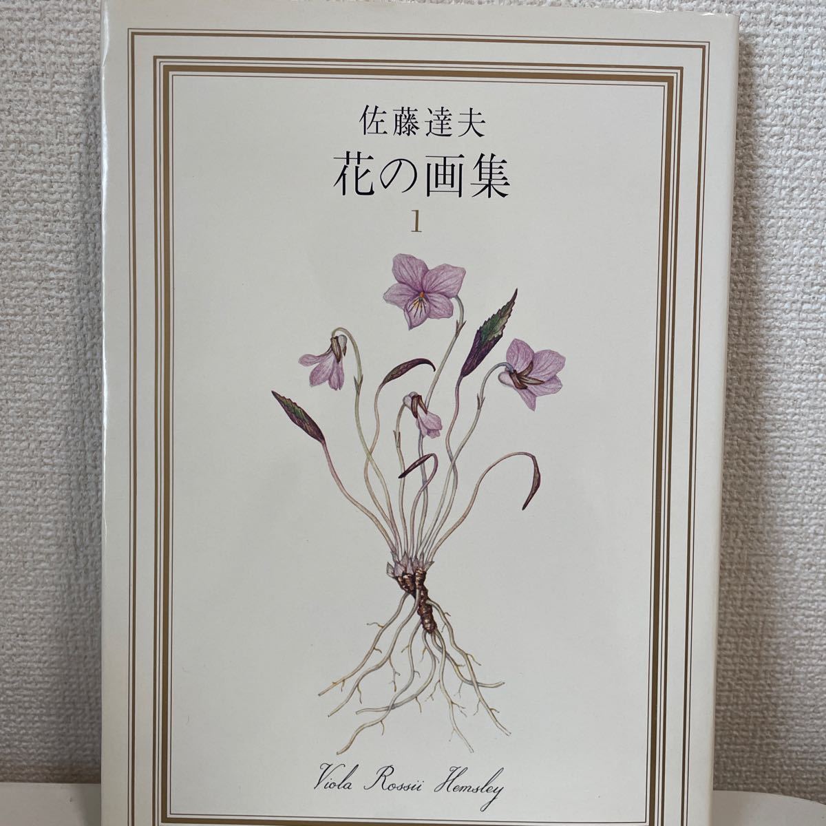 [Tatsuo Sato Flower Art Book 1] Chunichi Shimbun Tokyo Headquarters 1971 Kunstbuch, Malerei, Kunstbuch, Sammlung, Kunstbuch