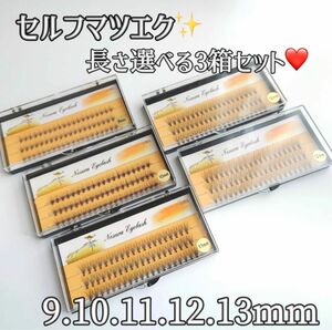 新品　セルフマツエクお得な3箱セット　まつげ　簡単