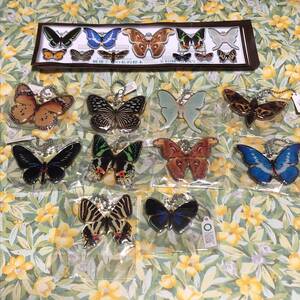 鱗翅学者の私的標本アクリルマスコット2 全10種set サイエンステクニカラー/いきもん/蝶/アゲハ/蛾
