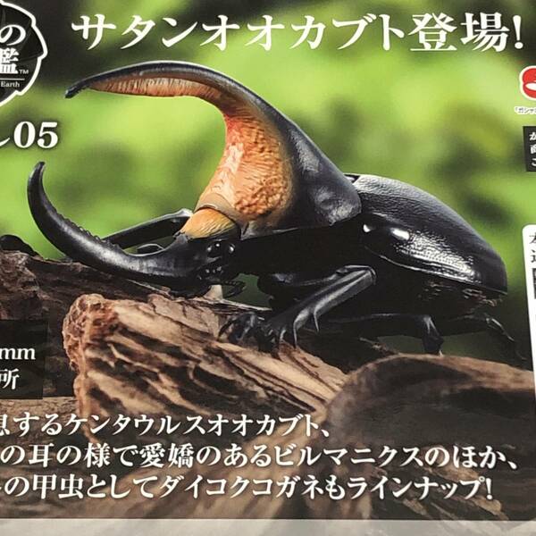 送料無 サタンオオカブト いきもの大図鑑 かぶとむし05 ガチャ/甲虫