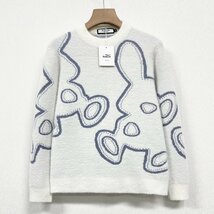 人気 ヨーロッパ製※定価5万◆ブルガリア発※RISELIN セーター ミンク/カシミヤ混 ソフト 毛足 ニット 暖かい ウサギ 可愛さ 秋冬 M/46_画像1