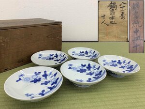 鍋島 皿 5枚 染付 盛皿 飾皿 陶磁器 骨董品 美術品 4690qbfzY