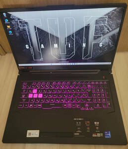 ゲーミングノート ノートパソコン ASUS TUF Gaming F17 FX706HM-HX073T Core i9 11900H/メモリ16GB/SSD1TB/RTX3060