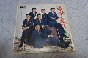 ファン垂涎のアイテム： 前川清　内山田洋とクールファイブ　逢わずに愛して　シングルレコード　