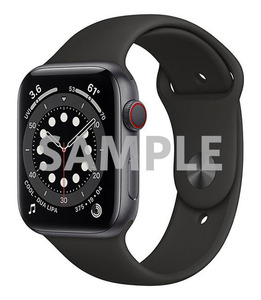 Series6[44mm セルラー]アルミニウム Apple Watch A2376【安心…