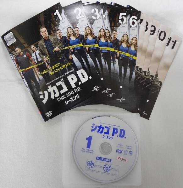 送料無料　レンタル落ち中古DVD　シカゴ P.D.　シーズン5　全11巻セット