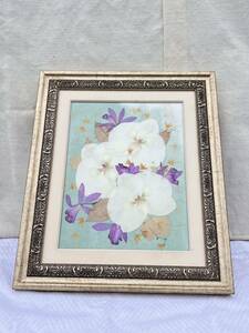 * pressed flower art frame *B-457