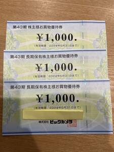 ビックカメラ 株主優待券 3000円分