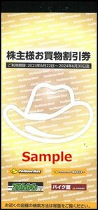 ◆06-02◆イエローハット 株主優待券 (株主お買い物割引券300円×25枚) 2冊set-E◆