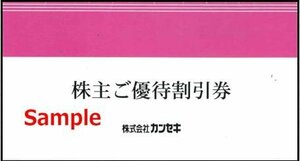 ◆05-02◆カンセキ 株主優待割引券 (WILD-1 15％割引) 2枚set-E◆