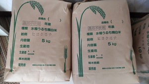 栽培期間中農薬不使用　精米「もち米」　10ｋｇ (5kg2袋）