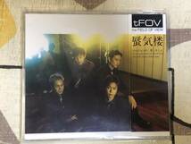 ★非売品CD　the FIELD OF VIEW/フィールドオブビュー「蜃気楼」 見本盤 　promo only レア盤　japan mint sample_画像1