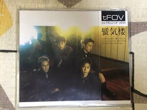 ★非売品CD　the FIELD OF VIEW/フィールドオブビュー「蜃気楼」 見本盤 　promo only レア盤　japan mint sample