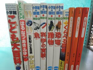 【図鑑】《まとめて13点セット》小学館の図鑑NEO/くらべる図鑑/算数の探検/科学の実験/こども大百科/恐竜 他