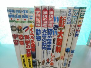 【図鑑】《まとめて12点セット》小学館の図鑑NEO/学研の図鑑/くらべる図鑑/科学の実験/恐竜/世界の危険生物/しごと館 他