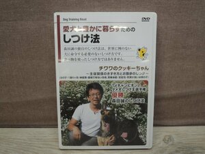 【DVD】愛犬と豊かに暮らすための しつけ法 チワワのクッキーちゃん 森田誠