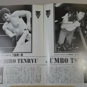 全日本プロレス パンフレット1983年 グランドチャンピオンカーニバルⅢの画像7