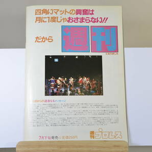全日本プロレス パンフレット1983年 グランドチャンピオンカーニバルⅢの画像10