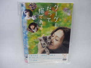 【レンタル落ちDVD】グーグーだって猫である　　出演：小泉今日子/上野樹里（トールケース無し/230円発送）