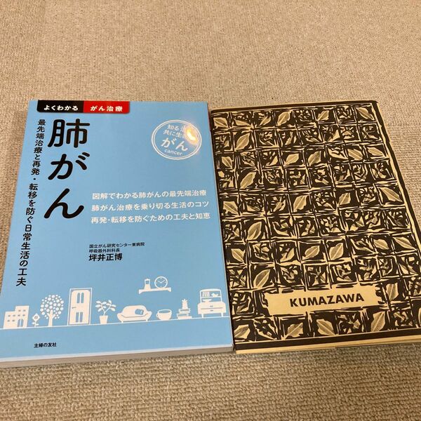 肺がん　最先端治療と再発・転移を防ぐ日常生活の工夫　知る治す共に生きるがん （よくわかるがん治療） 坪井正博／著