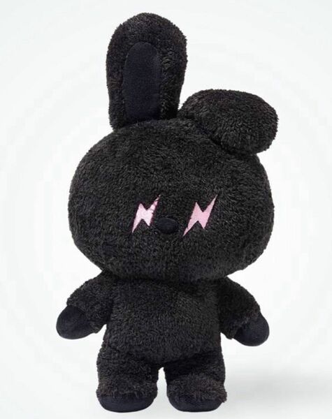 BT21 X FRAGMENT MEDIUM SIZE PLUSH DOLL "COOKY" 中サイズぬいぐるみ 