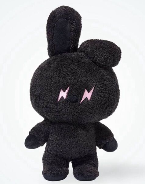 BT21 X FRAGMENT MEDIUM SIZE PLUSH DOLL "COOKY" 中サイズぬいぐるみ