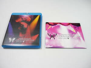 [管00]【送料無料】Blu-ray 浜崎あゆみ / ayumi hamasaki COUNTDOWN LIVE 2010-2011 A ～do it again～