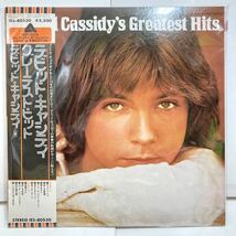 【極美品 見本盤】David Cassidy's Greatest Hits / デビッド・キャシディ 【LPアナログレコード】_画像9