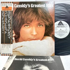 【極美品 見本盤】David Cassidy's Greatest Hits / デビッド・キャシディ 【LPアナログレコード】