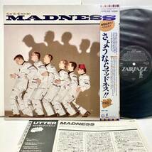 【極美品 見本盤 帯付き】Utter Madness さようならマッドネス 解散記念ベスト / Madness 【LPアナログレコード】_画像1