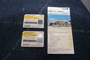 ANA　株主優待券　2枚　2024年11月30日搭乗分まで　グループ優待券５月31日まで