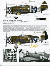 1/48 サンダーカル・デカール　欧州戦線の P-47D (1)_画像3