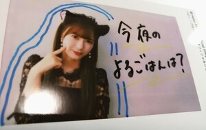 Art hand Auction [Morning Musume '23 Ikuta Erina] Hello! Project Offizieller Shop Kampagne zum 23. Jahrestag Nicht verkaufbares Polaroid-Foto in Größe L Hello! Project, zu, Morgen Musume., Andere