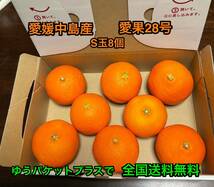 全国送料無料　紅まどんなと同じ品種　愛果28号　ゆうパケットプラス　S玉8個　箱込み1kg 愛媛中島産　10_画像1