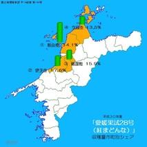 全国送料無料　紅まどんなと同じ品種　愛果28号　宅急便コンパクト　愛媛中島産　13_画像5