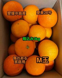 全国送料無料　紅まどんなと同じ品種　愛果28号　Mサイズ　箱込み3kg　愛媛中島産　②