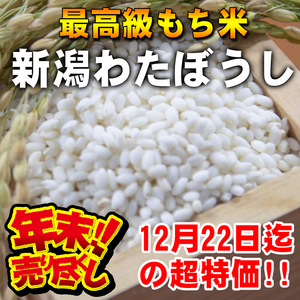 12/22までの超特価!!【令和5年産新米】最高級もち米 新潟県産わたぼうし白米20kg