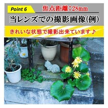 ★動作OK ★美品 ★送料無料 ★24時間以内発送 ★ニコン AF NIKKOR 28-80mm F/3.3-5.6 G #7326 一眼レフ カメラレンズ 春夏秋冬_画像7