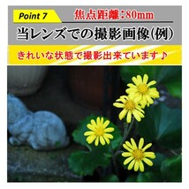 ★動作OK ★美品 ★送料無料 ★24時間以内発送 ★ニコン AF NIKKOR 28-80mm F/3.3-5.6 G #7326 一眼レフ カメラレンズ 春夏秋冬_画像8