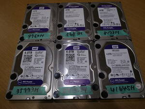 3.5インチ HDD 4TB 6個セット！///WD Purple 6個　正常品//WD40PURX