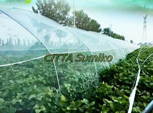  shop manager special selection moth repellent agriculture for kitchen garden gardening insecticide net insect repellent net insect repellent net moth repellent net moth repellent seat mesh sheet width 1m× length 100m tunnel cultivation 