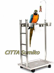  shop manager special selection parrot stand bird rack bird Play stand bird cage stainless steel with casters .... measures 
