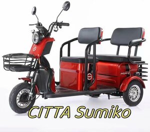  shop manager special selection * seniours oriented electric tricycle home use tricycle leisure travel shopping commuting for 