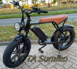 実用品 高品質 大人用電動自転車 ワイドホイール付き1000W 48V 15ah容量のリチウム電池，7シマノ速度