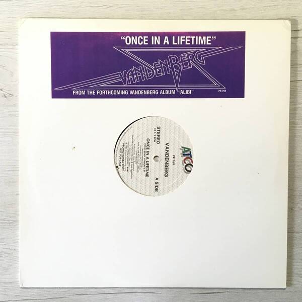 VANDENBERG ONCE IN A LIFE TIME US盤 PROMO