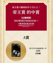 激レア テーオーケインズ クオカード 帝王賞 非売品 当選 JRA TCK 宝塚記念 コラボキャンペーン 的中賞 A賞 QUOカード 1万円分_画像5