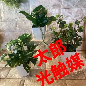 光触媒　人工観葉植物　ウォールグリーン　フェイクグリーン　3種白プラajmd