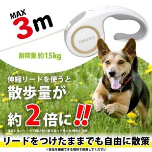 コンパクト 軽量 伸縮 ロングリード 3m リーシュ 犬用